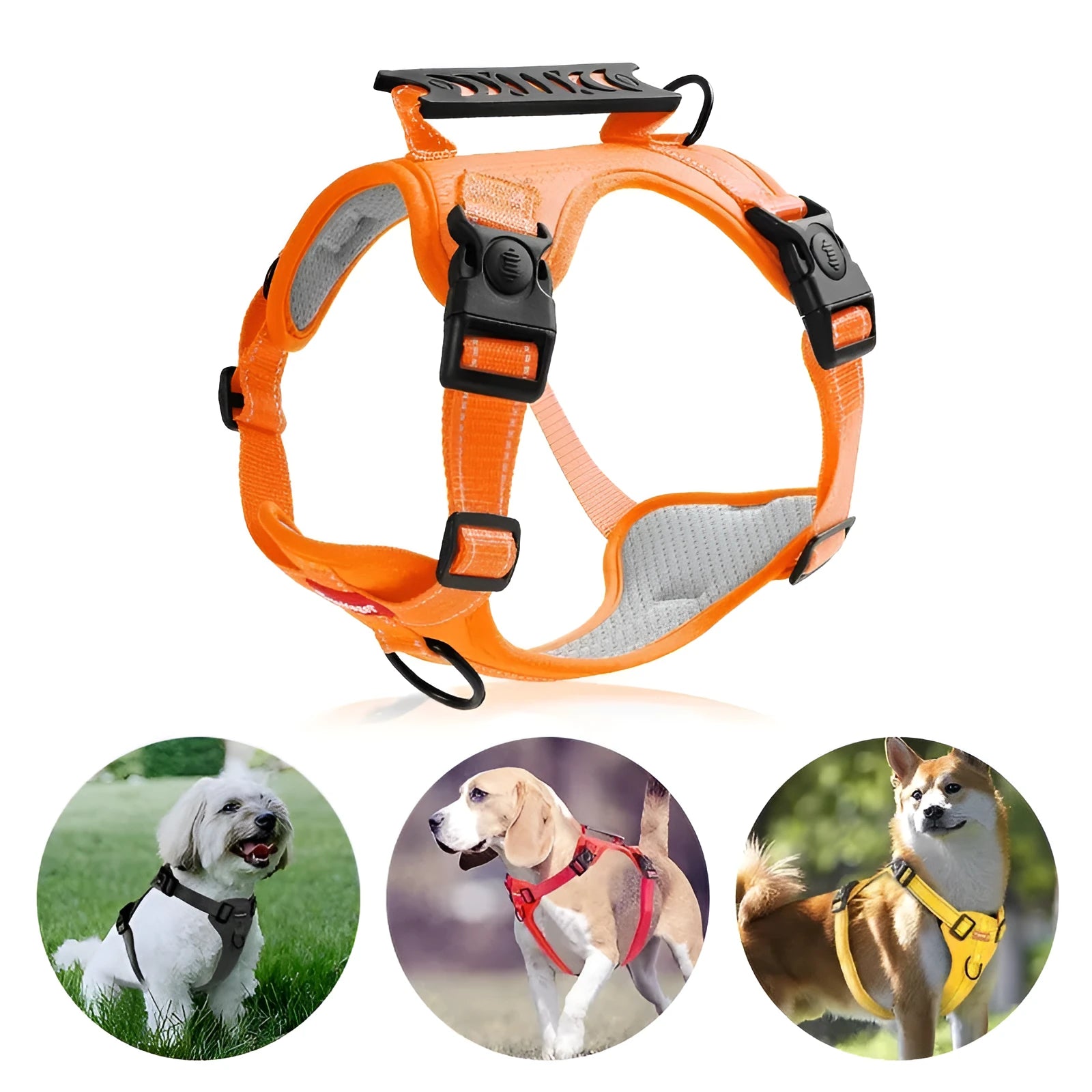 Polyester dog harness and lead set in multiple colours with adjustable chest strap for large medium small dogs