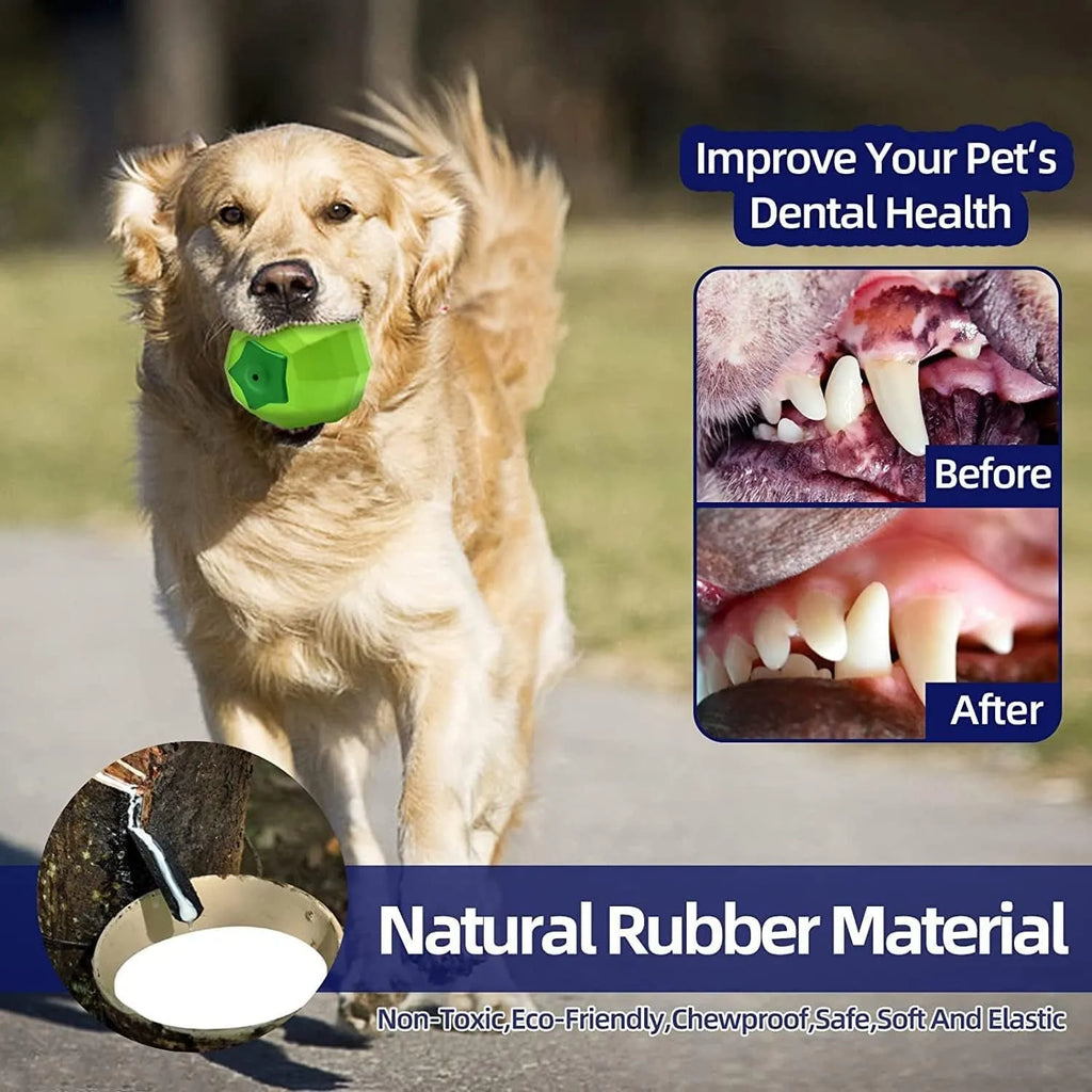 Green natural rubber squeaky chew ball dog toy for large breeds.