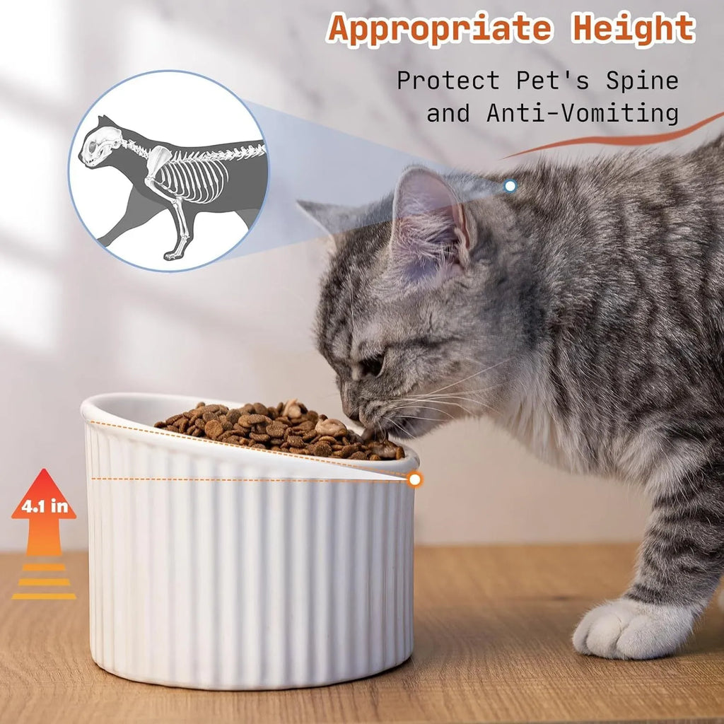 Ceramic elevated cat bowl in green colour with raised feeding design