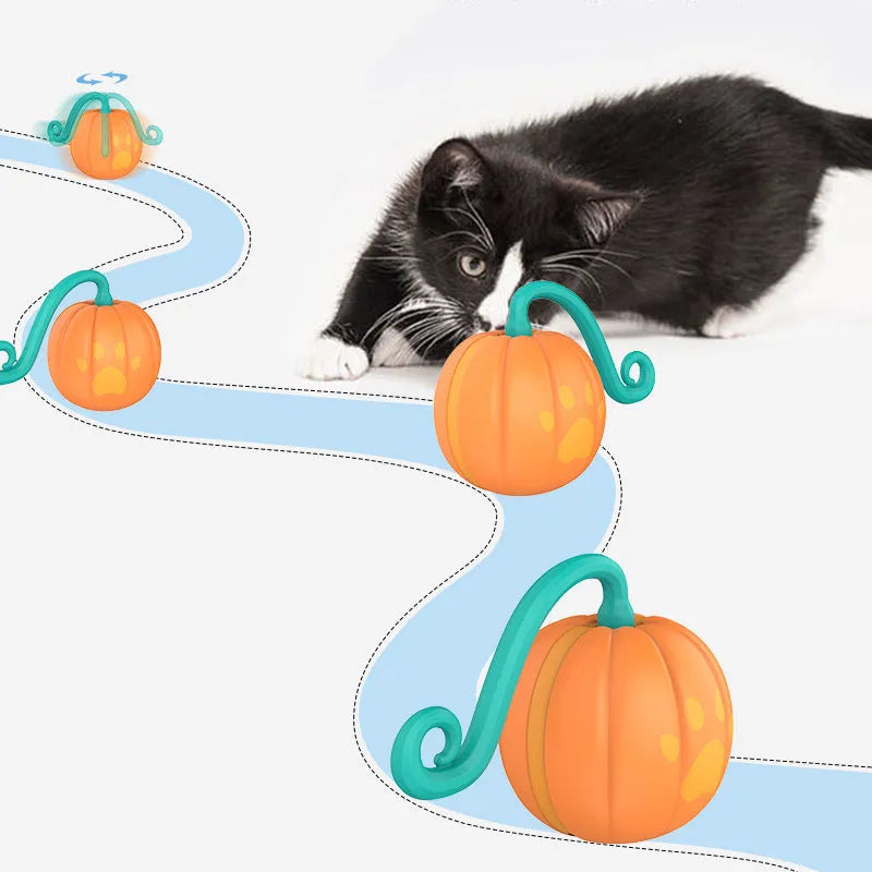 Electric cat toy with luminous ball in watermelon and pumpkin colour designs for indoor feline entertainment