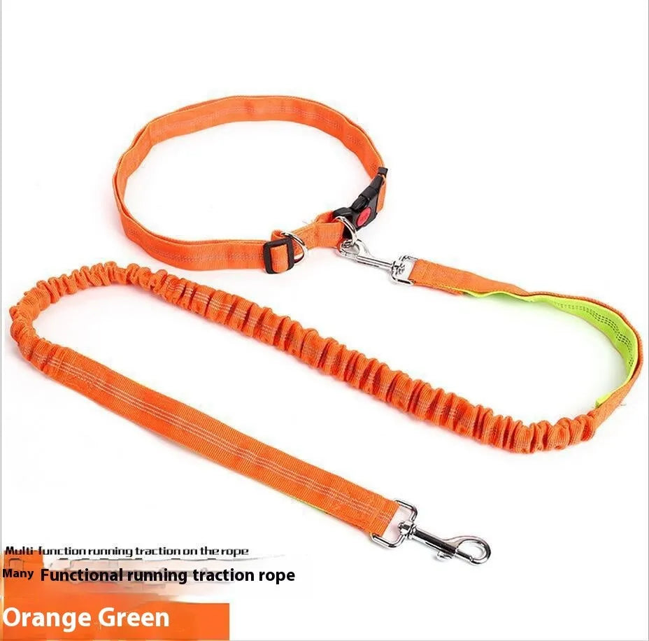 Grey and green reflective nylon dog leash with elastic section, shown at 2.5cm width.