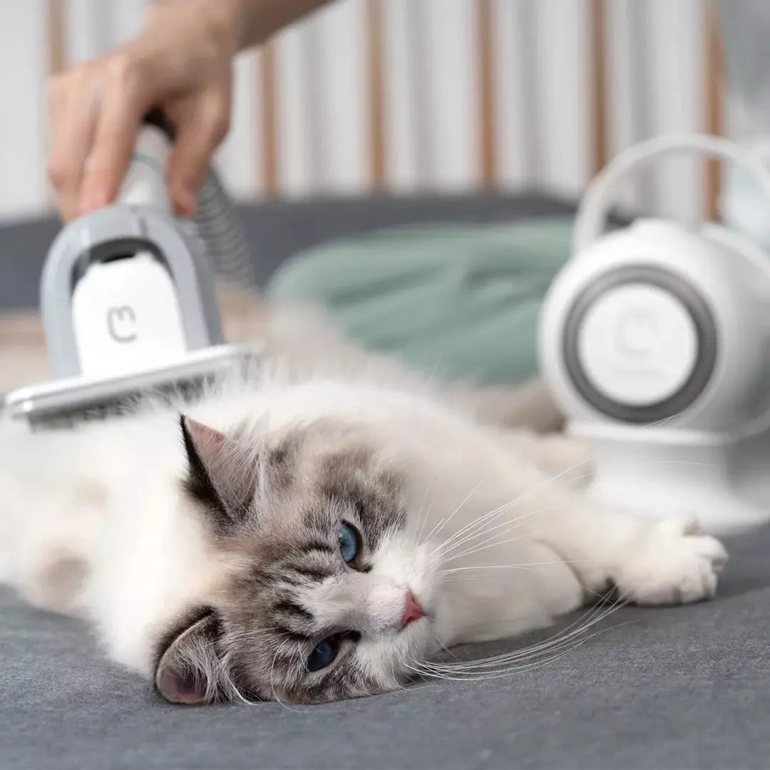 White pet hair clippers grooming kit with stainless steel blades, scissors, combs, and cleaning brush on a table