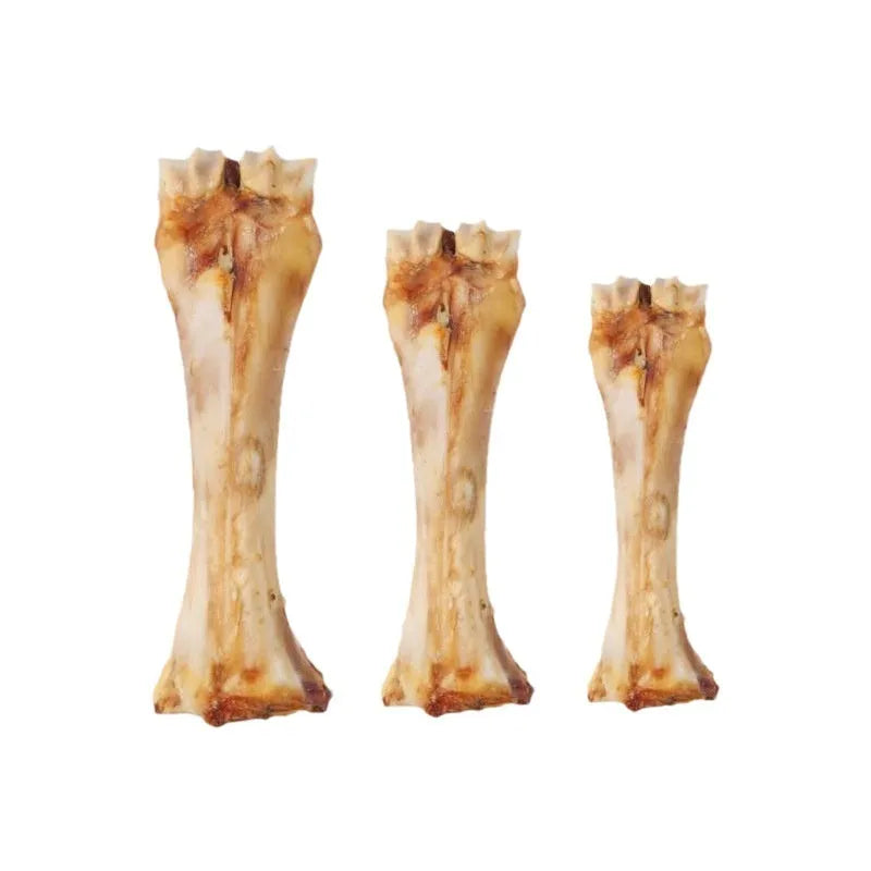 Dog molar rod chew toy for teeth cleaning and training with high calcium roasted ox bone flavour
