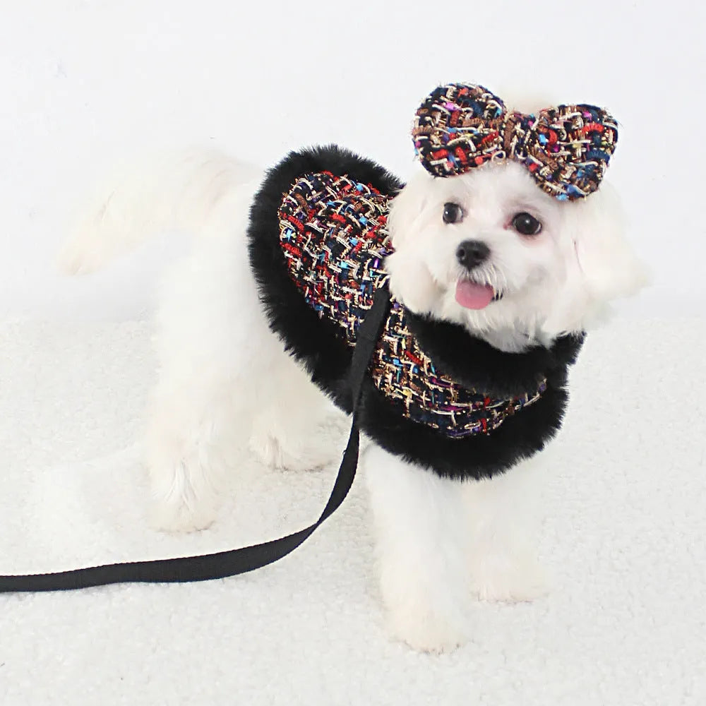 Classic-style dog wearing a cloth cloak with a chest strap and handheld lead.