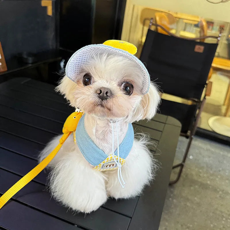 Pet harness and leash set with wire rope pulling components and cute hat cat clothes outfit