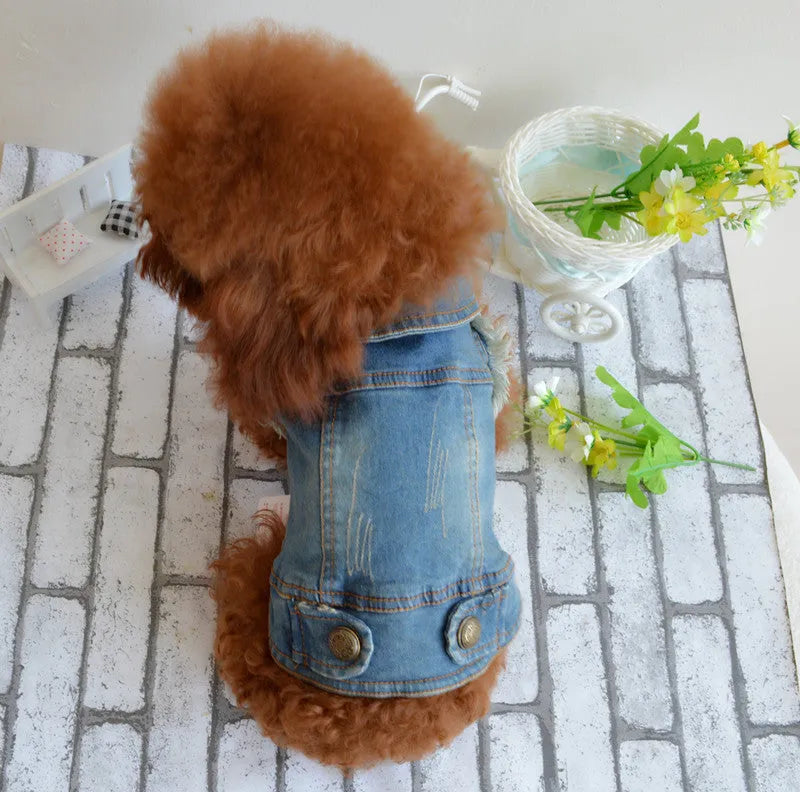 Denim dog vest with retro scratch pattern shown in dark wash colour on small breed dog