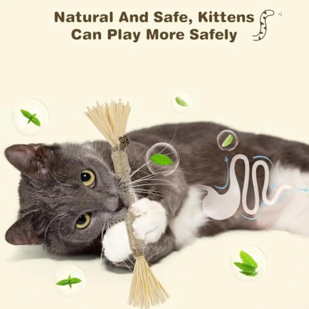 3 pack silvervine chew sticks for cats with sisal rope and raffia dental cleaning texture