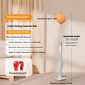 Vertical boxing reaction ball roly-poly design with focus mitts in orange and grey colour options