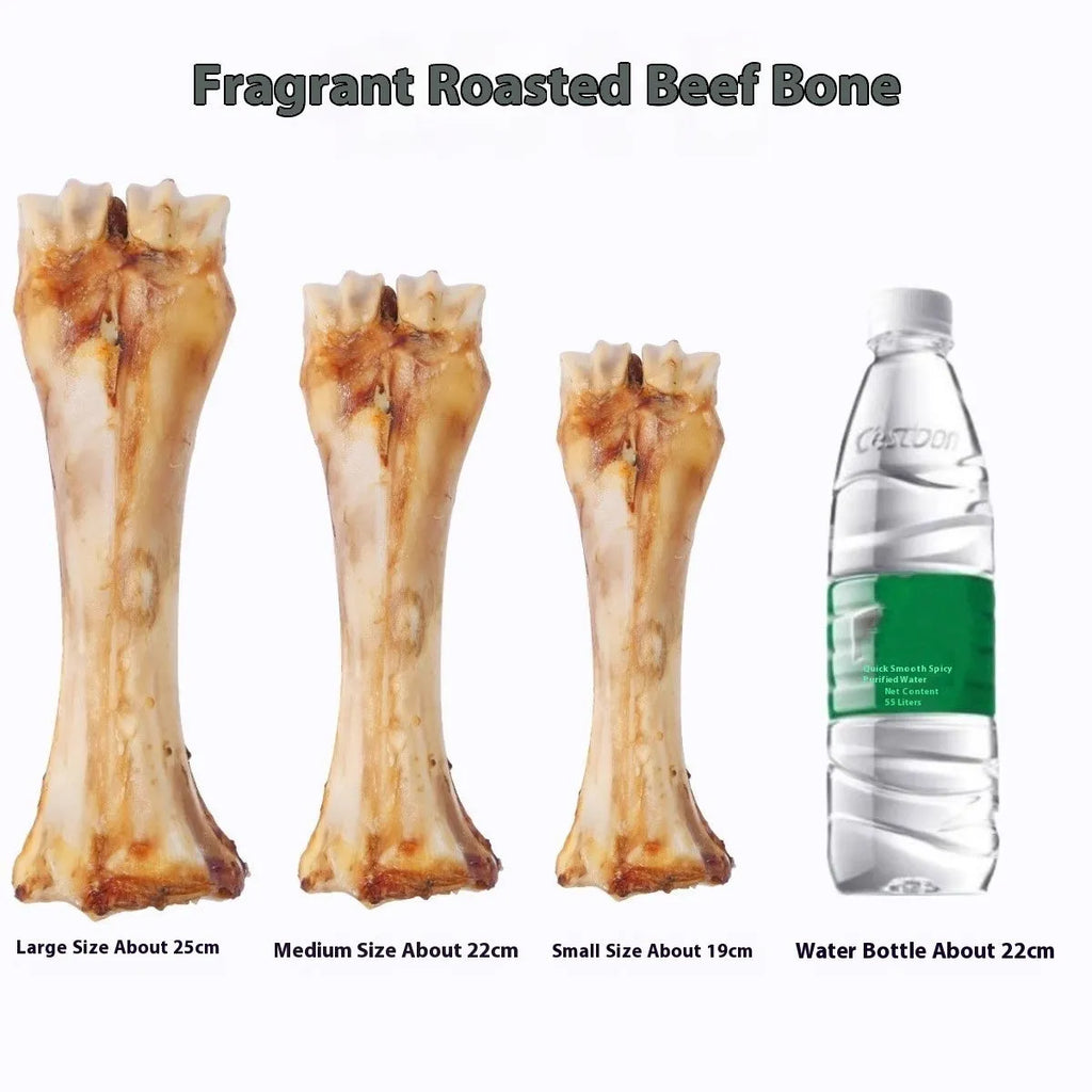 Dog molar rod chew toy for teeth cleaning and training with high calcium roasted ox bone flavour