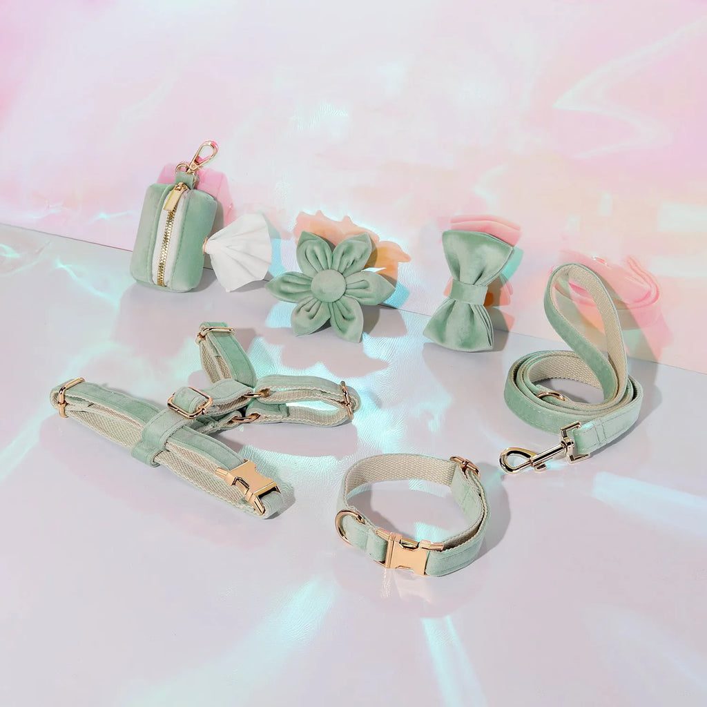 Velvet dog collar and lead set with chest strap, decorative bow tie, and flower accessory in multiple colour options