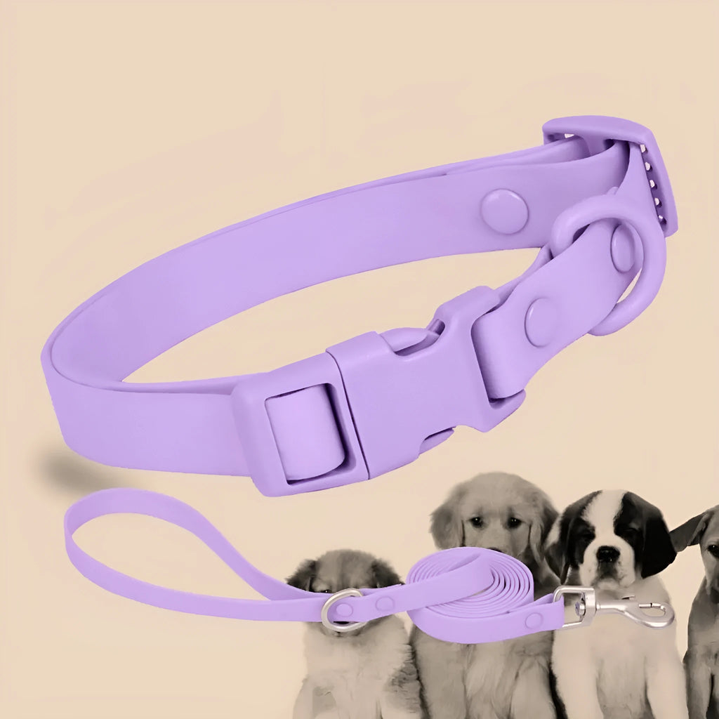 Macaron colour pet pulling rope, 150cm x 1.5cm PP dog lead, waterproof and stain resistant, six colours