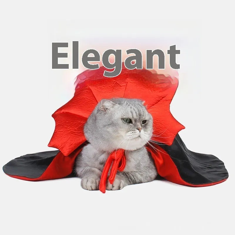 Black and red Halloween costume for cats and dogs on pet mannequin