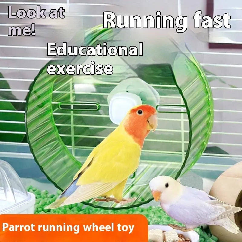 21cm plastic parrot running wheel toy in transparent colour option for bird cage exercise