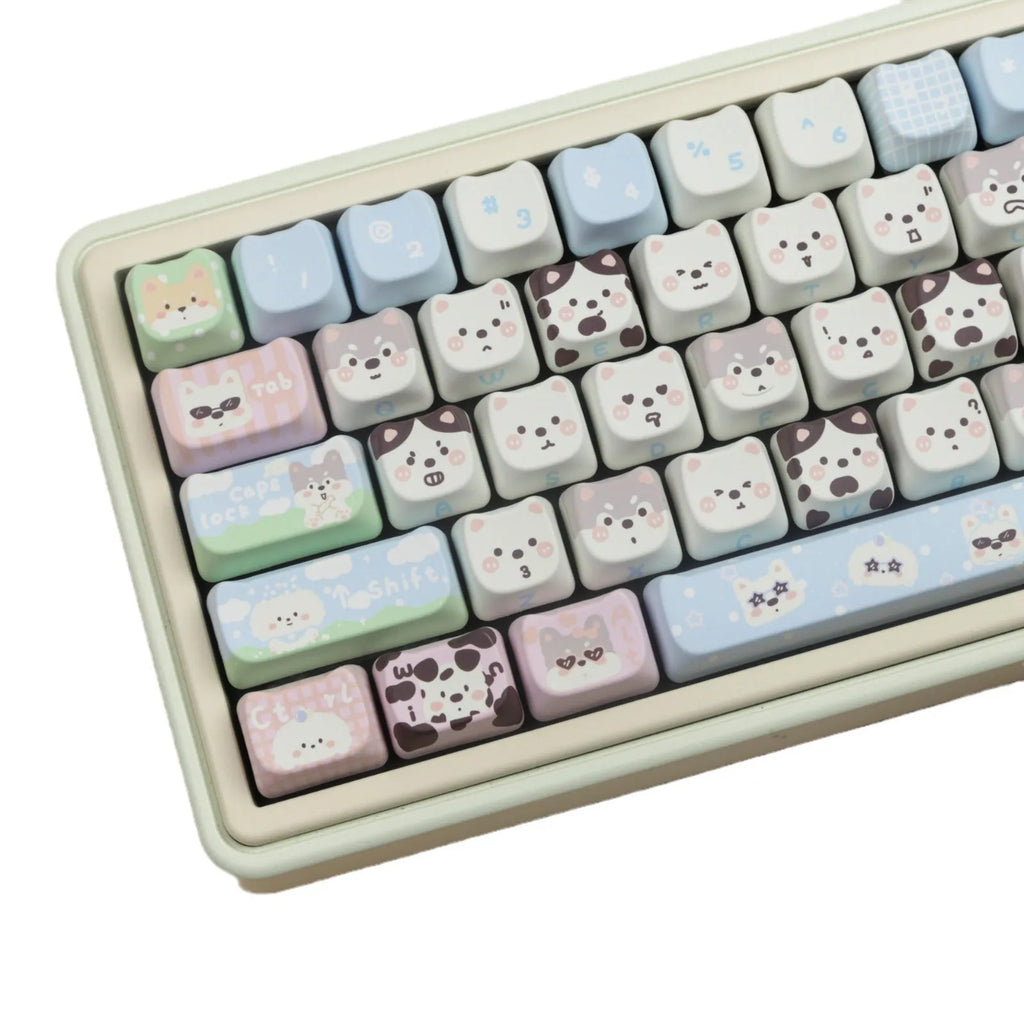 Full set of PBT sublimation key caps for mechanical keyboards showing alphanumeric keys and modifiers