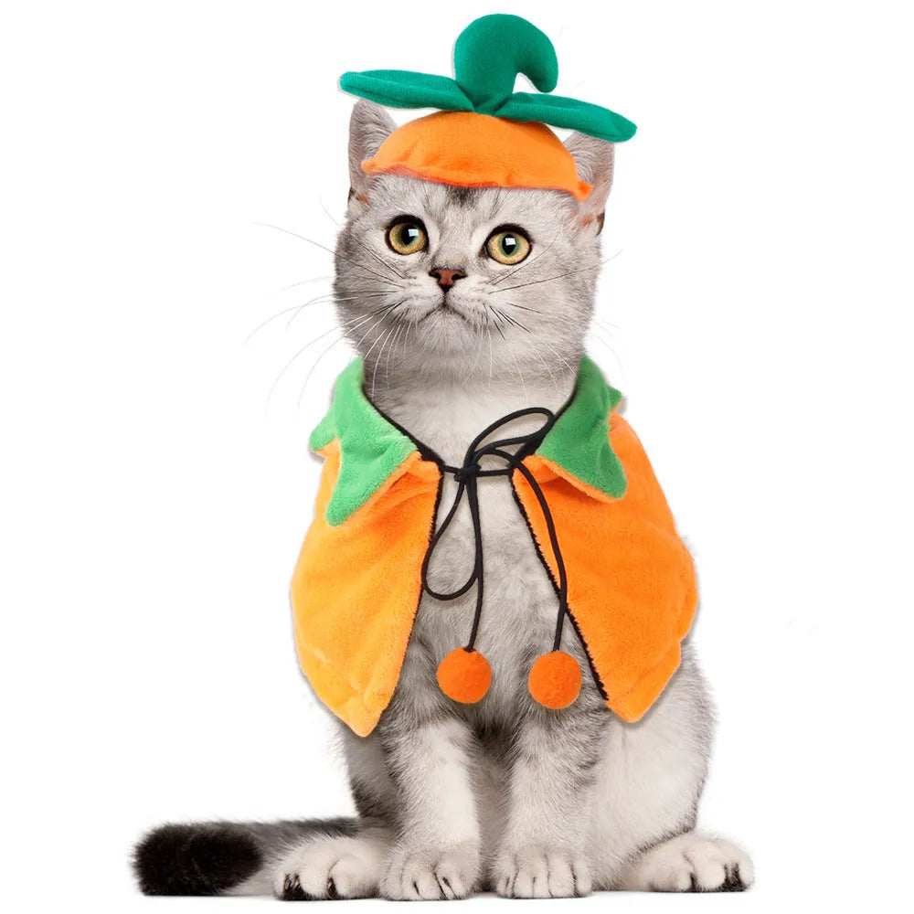 Orange plush Halloween pumpkin cloak for dog or cat costume on pet