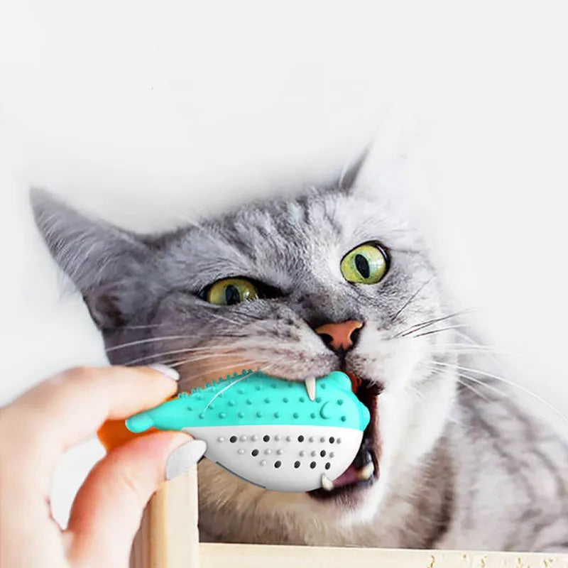 Blue silicone fish-shaped cat chew toy with toothbrush texture for grabing and chewing