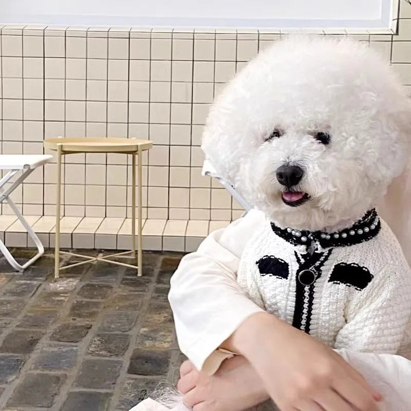 Korean style white dog sweater with pearl collar on small puppy showing princess design details
