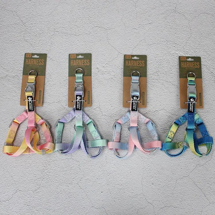 Nylon dog leash and collar set in a gradient colour design of blue and pink