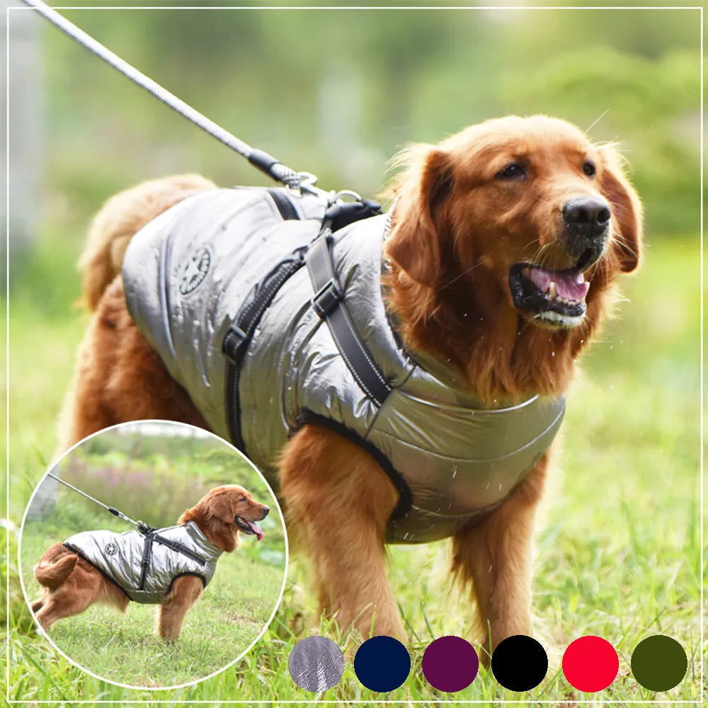 Waterproof dog coat with integrated harness in rain silk fabric showing size range from XS to 4XL