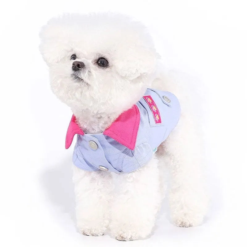 Blue and purple polyester dog vest with traction rope ring for small breeds