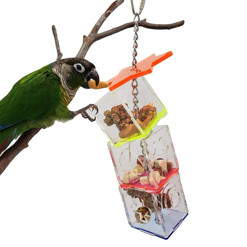 Clear acrylic parrot foraging toy measuring 5x5x32cm for holding bird treats