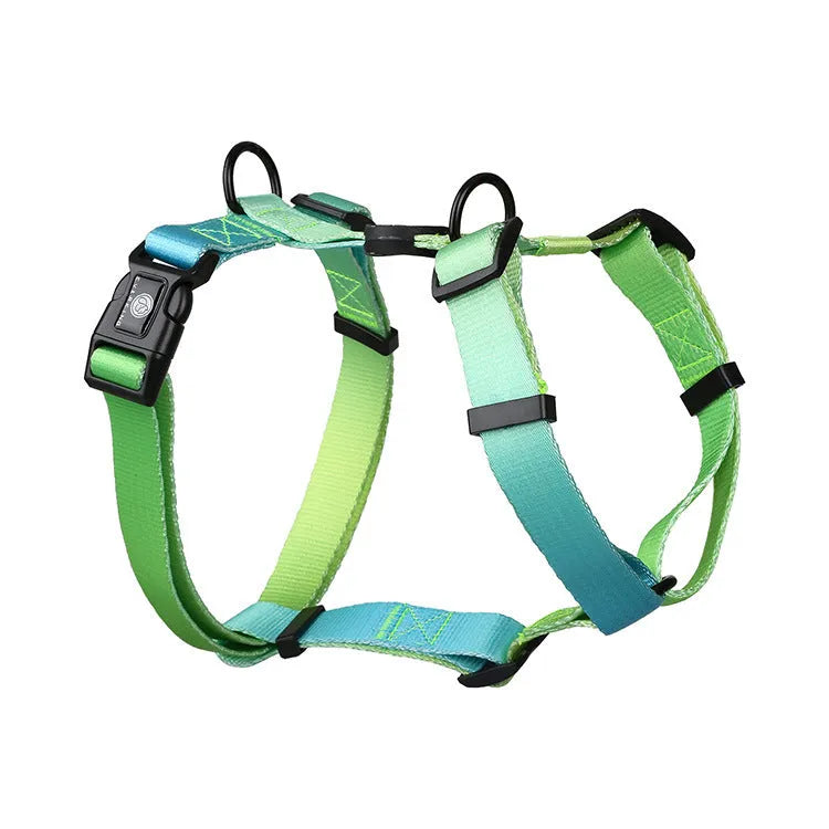 Gradient colour dog harness in purple, blue, neon, or green designs, showing chest and back straps.
