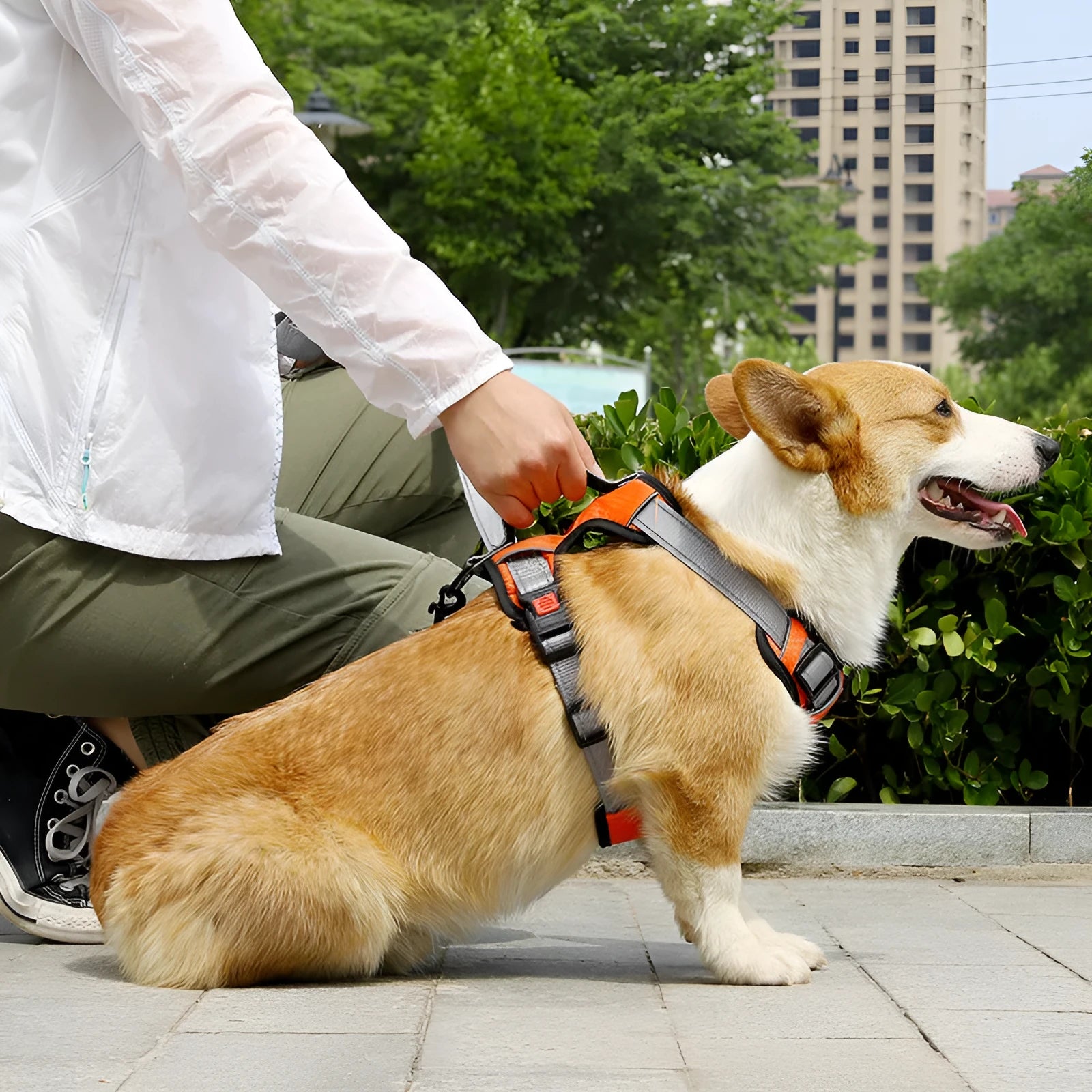 Adjustable dog harness with optional hand-held rope in various colour options for walking control
