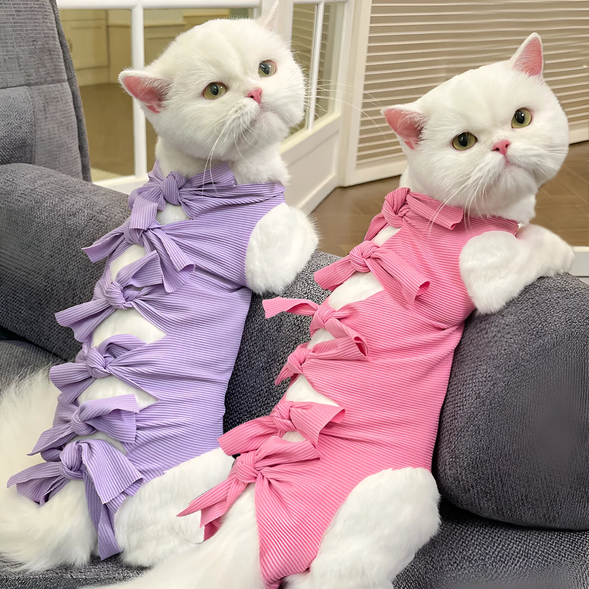 Lace-up cat sterilization clothing in blue colour with size labels for post-operation recovery
