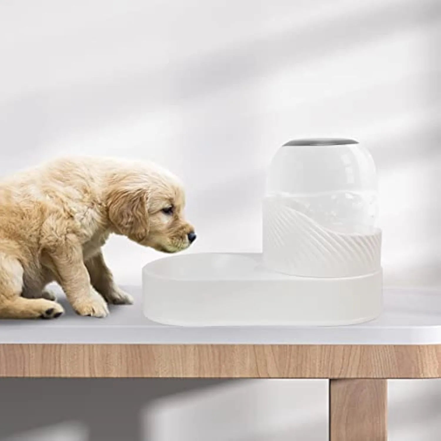 White automatic gravity cat feeder and water dispenser set with wave-shaped design.