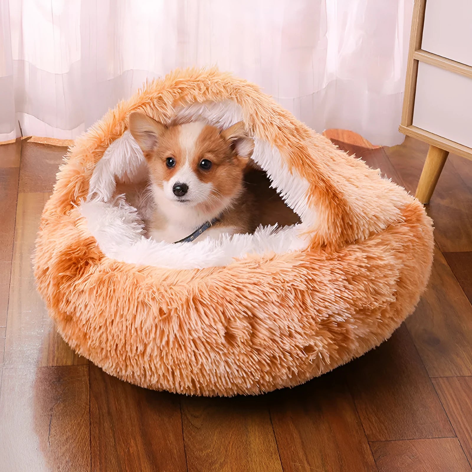 Semi-enclosed waterproof fabric dog kennel in a gradient colour, shown in a 50cm size.