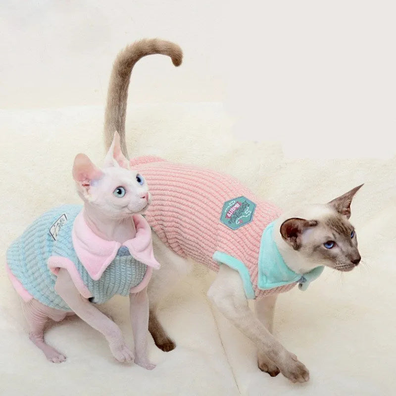 Wool two-legged hairless cat jumper in blue with pink edge, shown in size XS to XL for autumn and winter