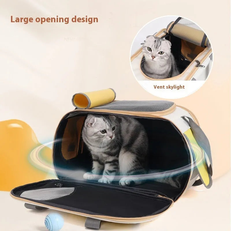 Foldable canvas pet bag in black colour showing large capacity design with single shoulder strap