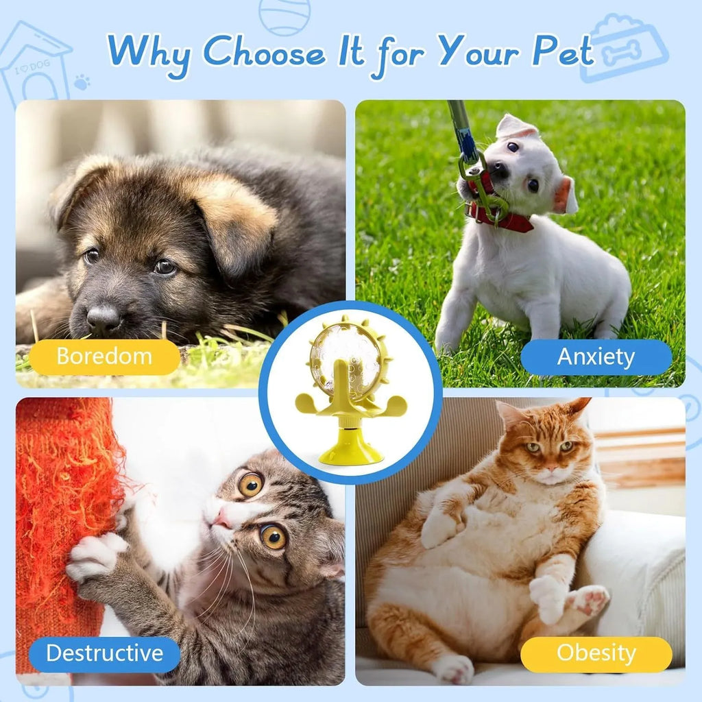 Blue interactive pet puzzle toy with spinner and suction cup base for cats and small dogs