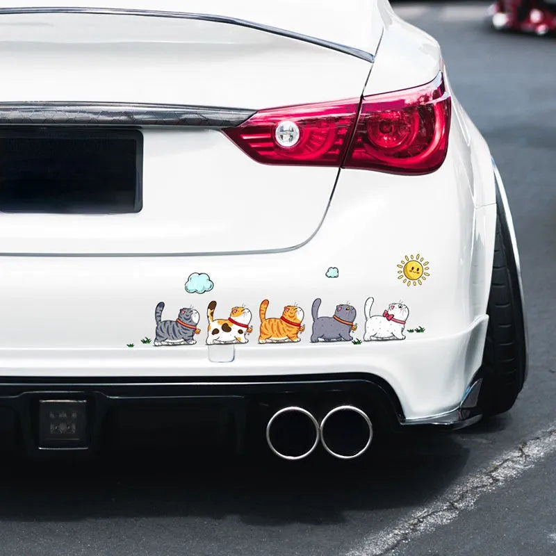 Five climbing cats car sticker on vehicle window showing PVC waterproof decal with humorous animal design
