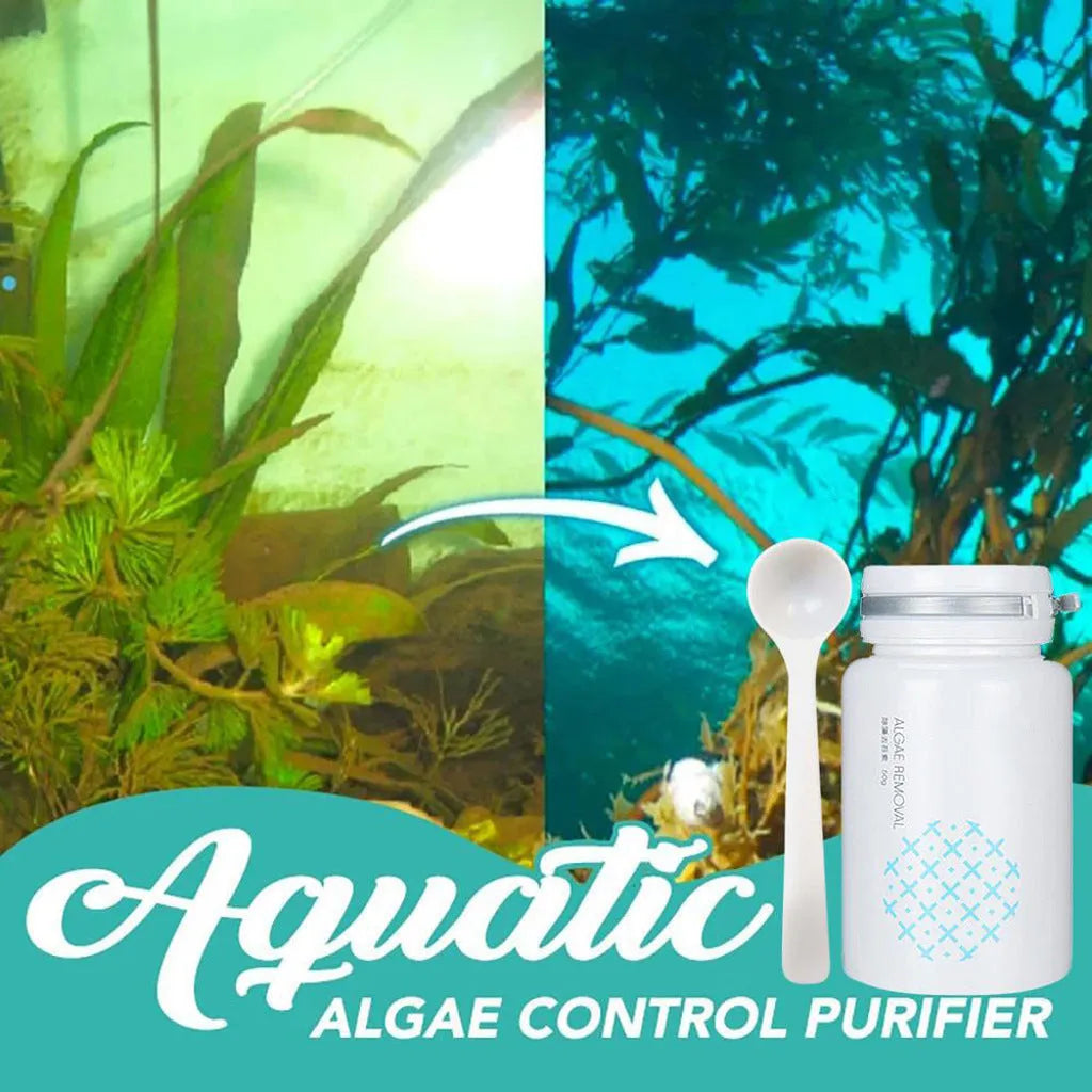 50g swimming pool algaecide bottle for algae removal and water treatment
