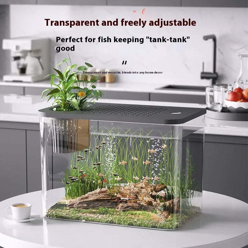 Plastic betta fish tank with cover measuring 32x18.5x23 cm in black and white colour options