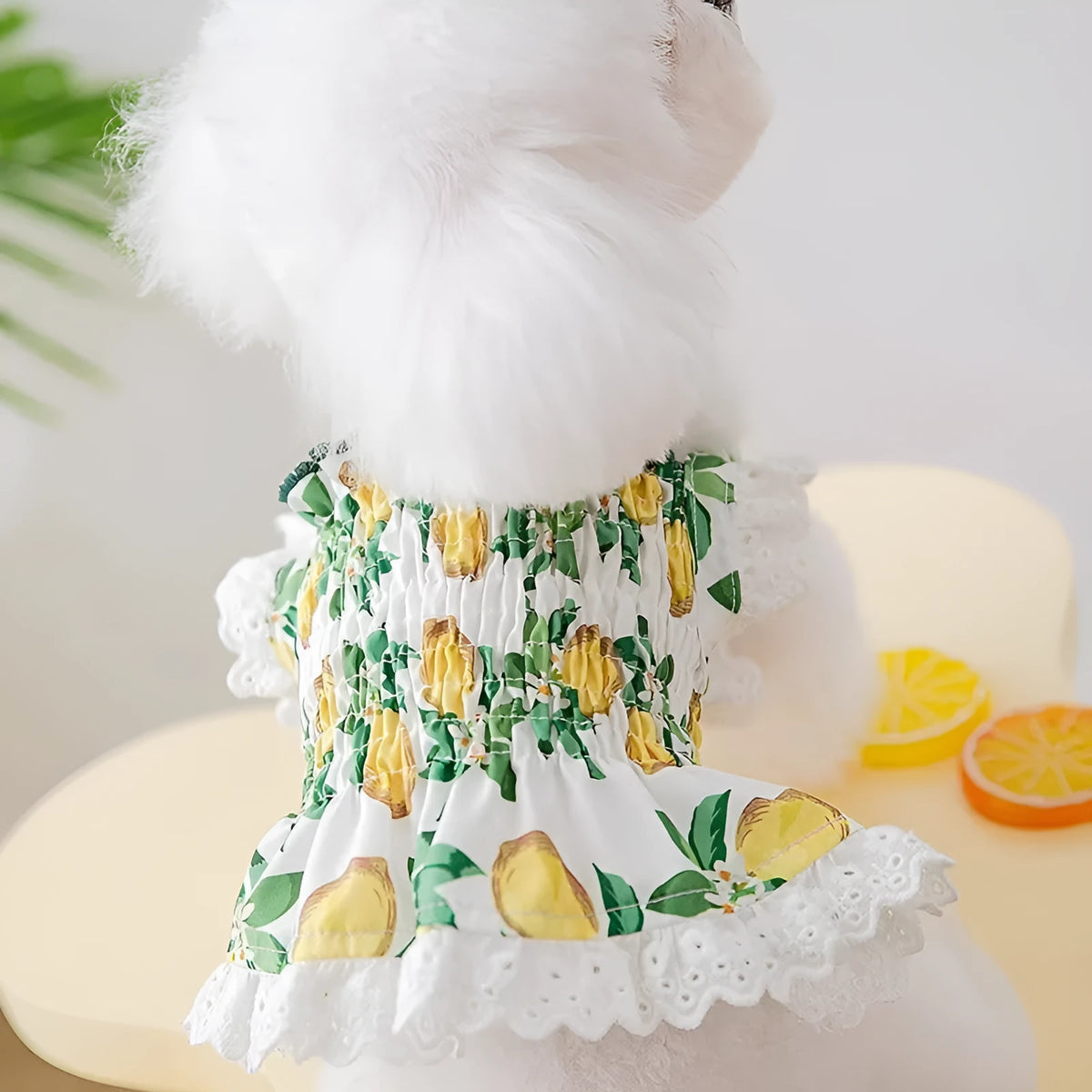 Rock Yellow Lemon thin breathable strap dog skirt for small to medium dogs on mannequin
