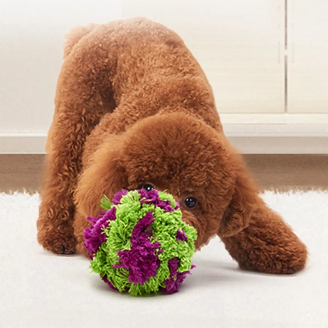 Purple plush seaweed ball dog chew toy for interactive play and teeth cleaning