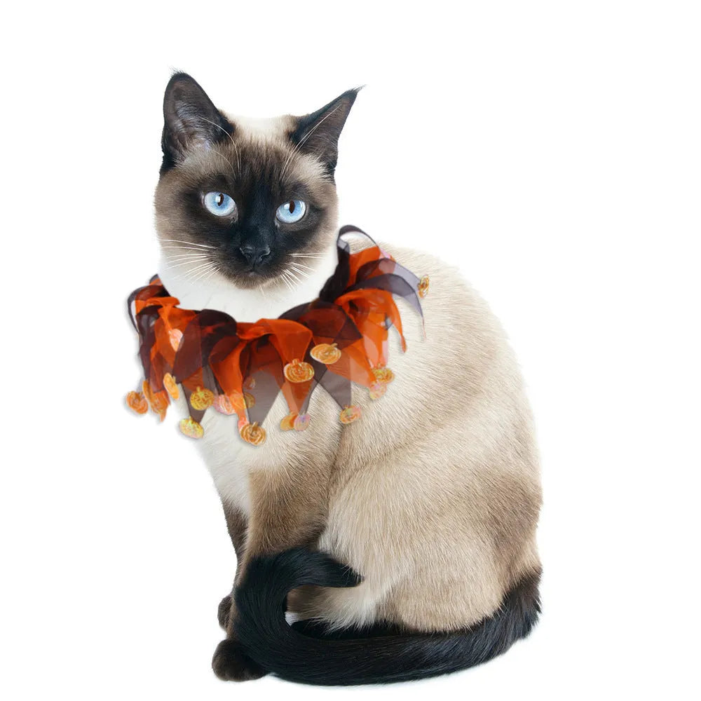 Tie-dyed pet colour collar in free size with Christmas and Halloween theme options
