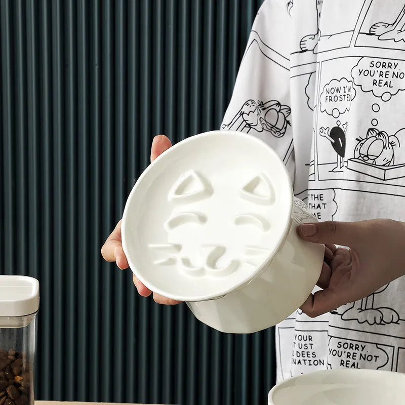 Ceramic tall cat bowl in slow food plate or diamond bowl shape, raised feeding dish for cats