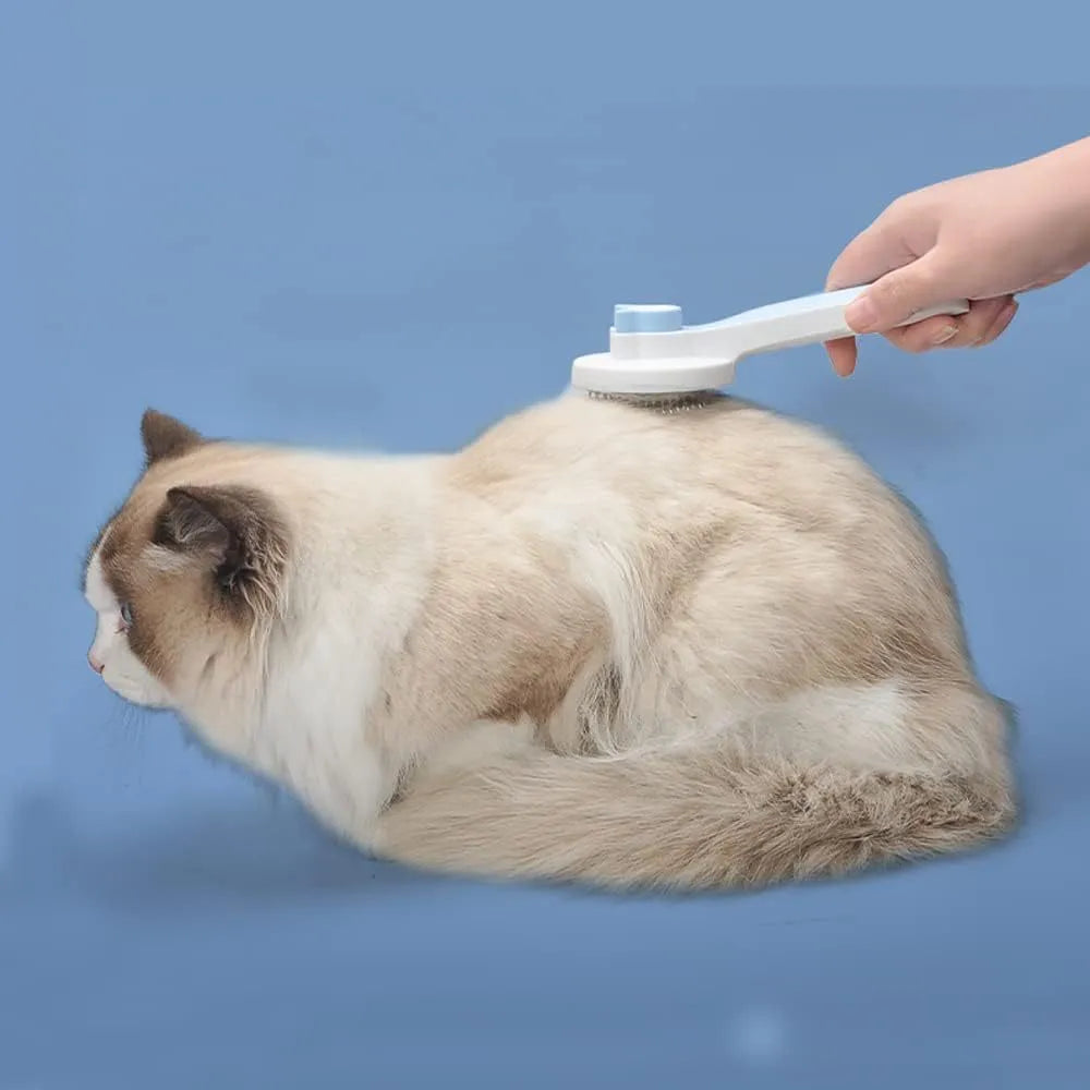 Blue self-cleaning cat brush with rubber-tipped metal pins and a non-slip handle.