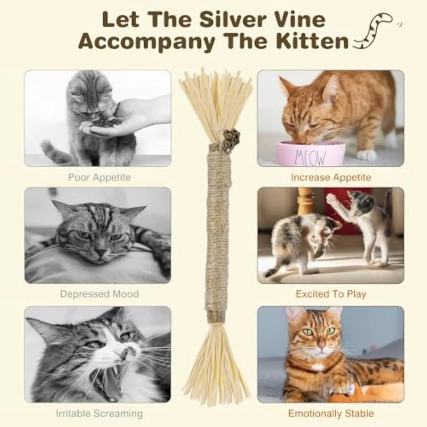 3 pack silvervine chew sticks for cats with sisal rope and raffia dental cleaning texture