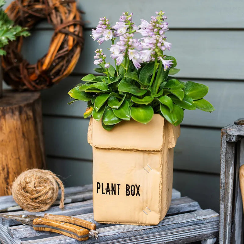 Cement brown paper box style floor planter with a drainage hole, shown in a Nordic indoor setting.