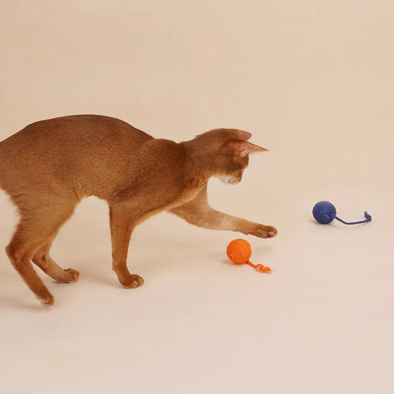 Bite-resistant cat teaser stick set with colourful catnip balls on blue background