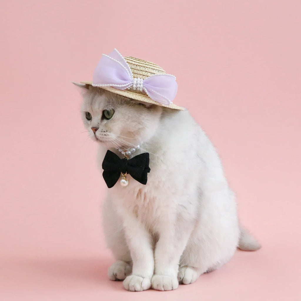 Pet cat wearing woven straw hat with pearl bow decoration in monochrome princess style