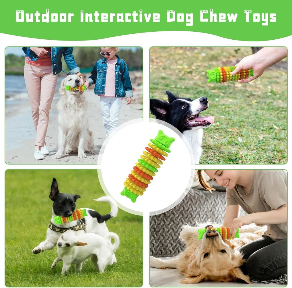 Blue caterpillar-shaped rubber dog chew toy for aggressive chewers, shown with textured surface.