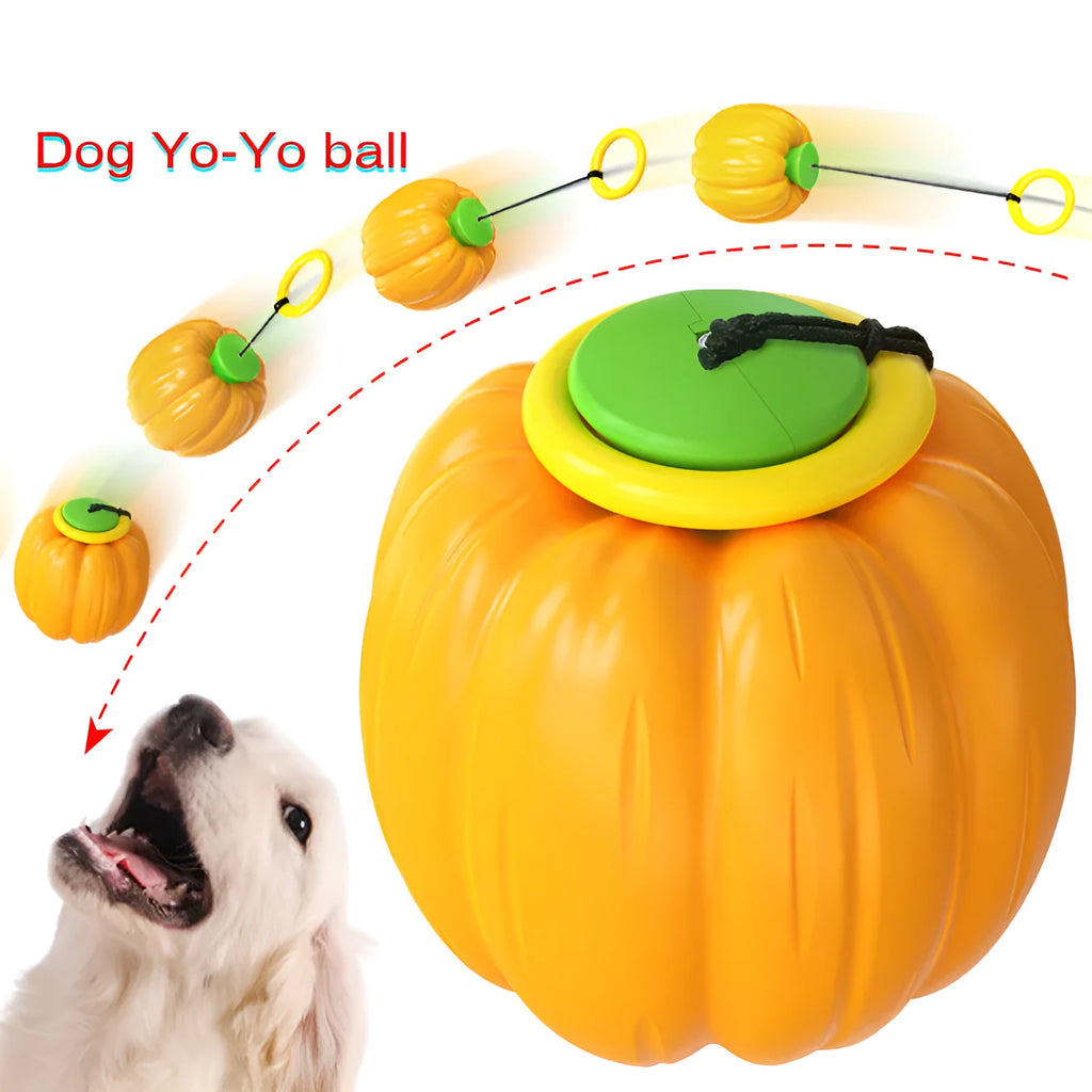 Green, orange, and yellow plastic pumpkin-shaped dog chew toy with squeaker for small dogs.