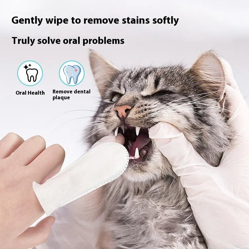 50-piece pack of pet dental finger cots for cat and dog teeth cleaning