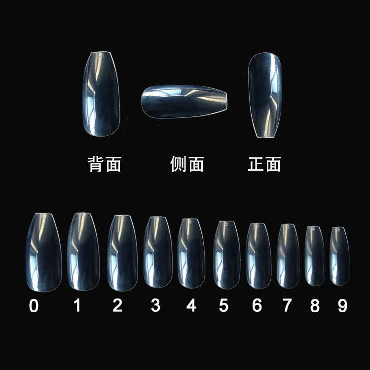 500 clear natural ABS fake nails in various sizes arranged with nail tools