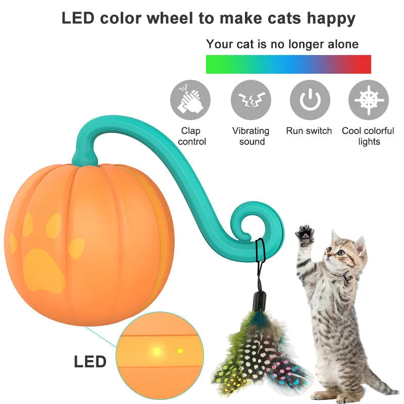 Electric cat toy with luminous ball in watermelon and pumpkin colour designs for indoor feline entertainment